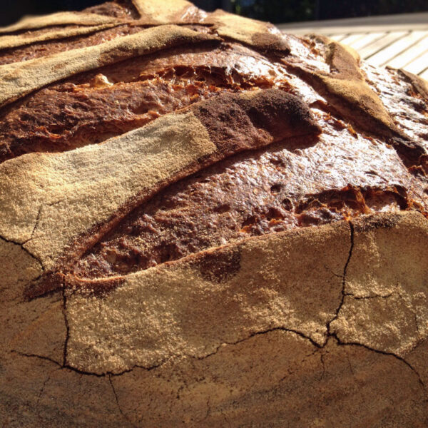 pane rustico